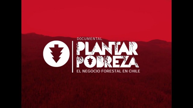 Plantar Pobreza: El negocio forestal en Chile