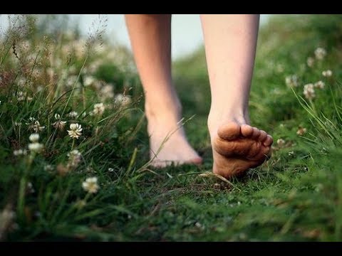Los que hacen contacto con la tierra